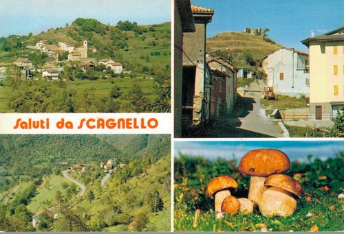 Cuneo scagnello funghi - scagnello, +