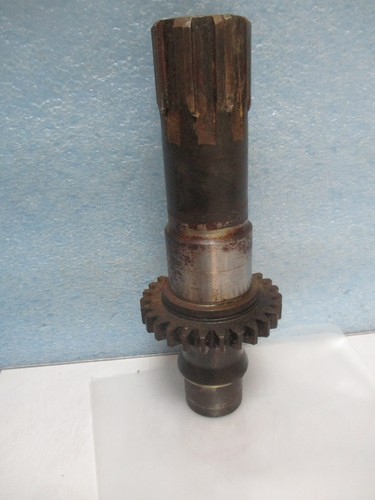 Grande albero cavo 124 - cavo, 124,